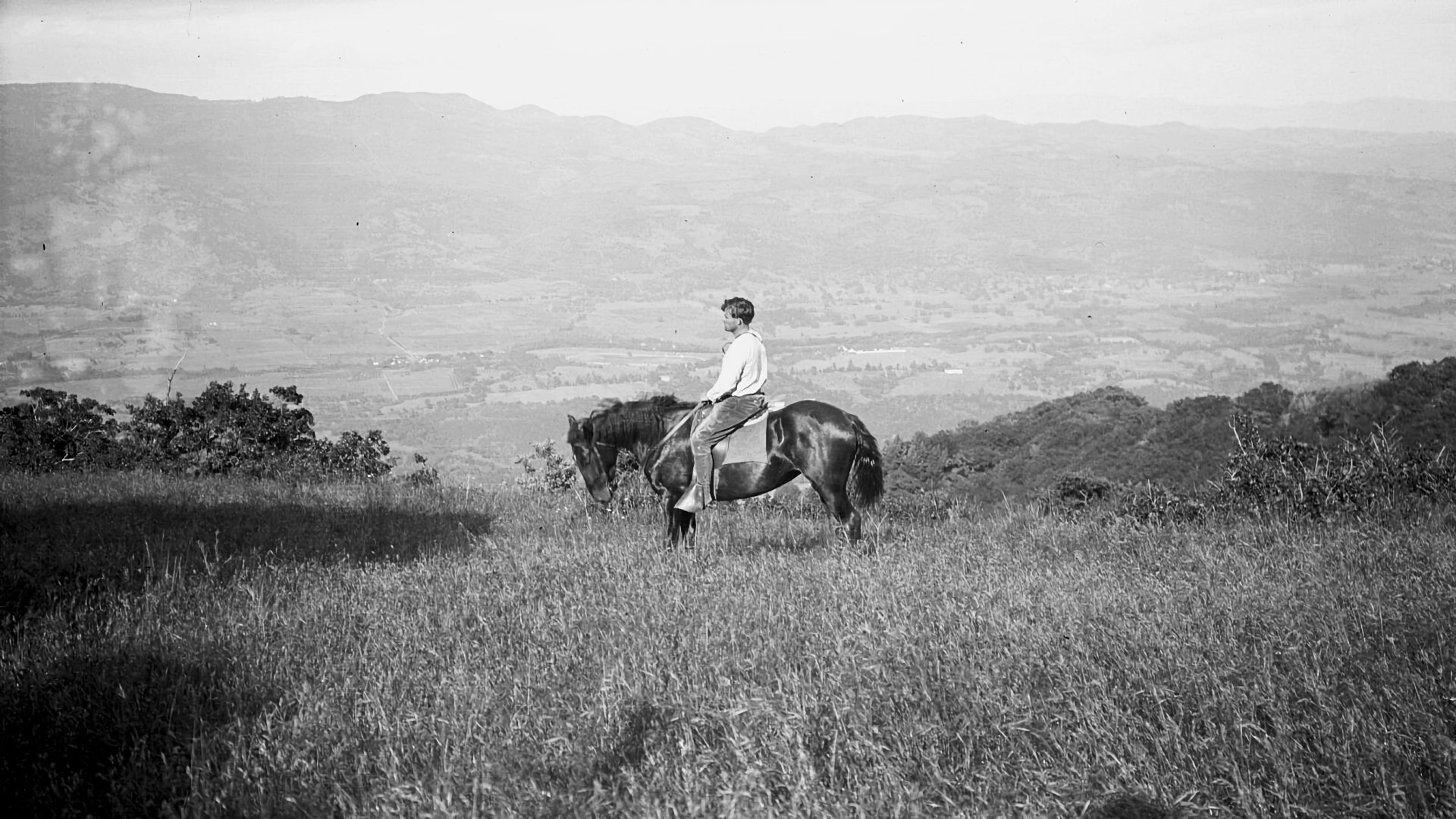 Jack London, une aventure américaine