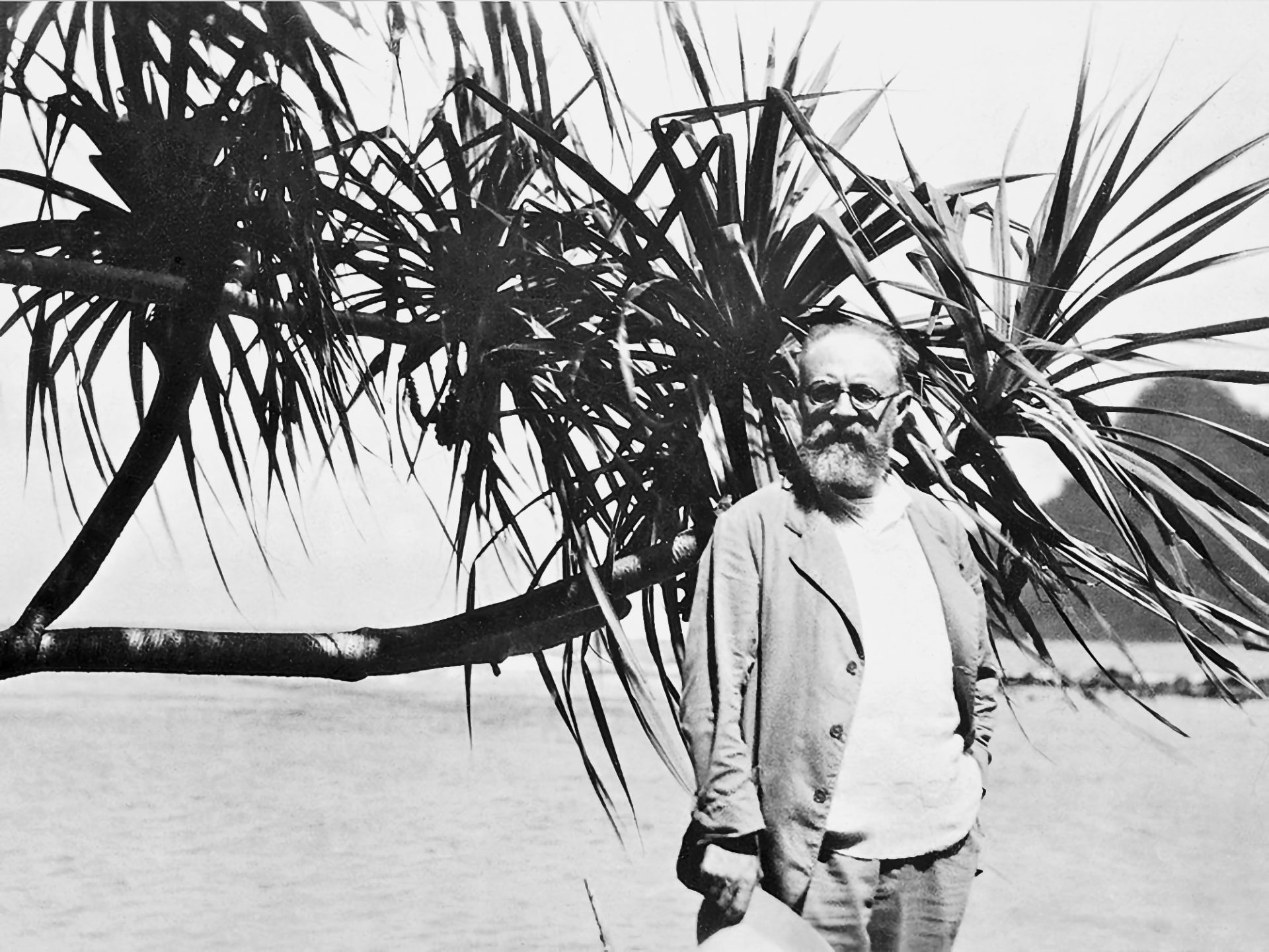 Matisse voyageur, en quête de lumière